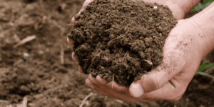 Ontdek alle kennis. Bodem, Water & Klimaatadaptatie