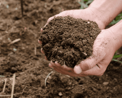 Bodem, Water & Klimaatadaptatie