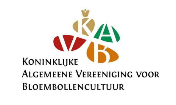 Ontdek alle kennis. KAVB logo