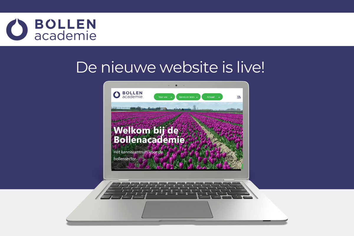 bericht Nieuwe website