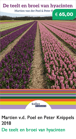 boek_teelt_hyacinten Boek teelt hyacinten