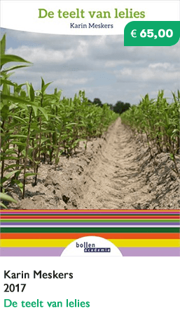 boek_teelt_lelies Boek teelt lelies