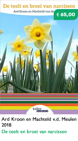 boek_teelt_narcissen Boek teelt narcissen