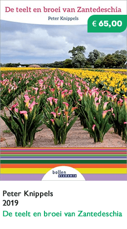 boek_teelt_zantedeschia Boek teelt zantedeschia