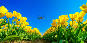 Ontdek alle kennis. Innovatie & Onderzoek