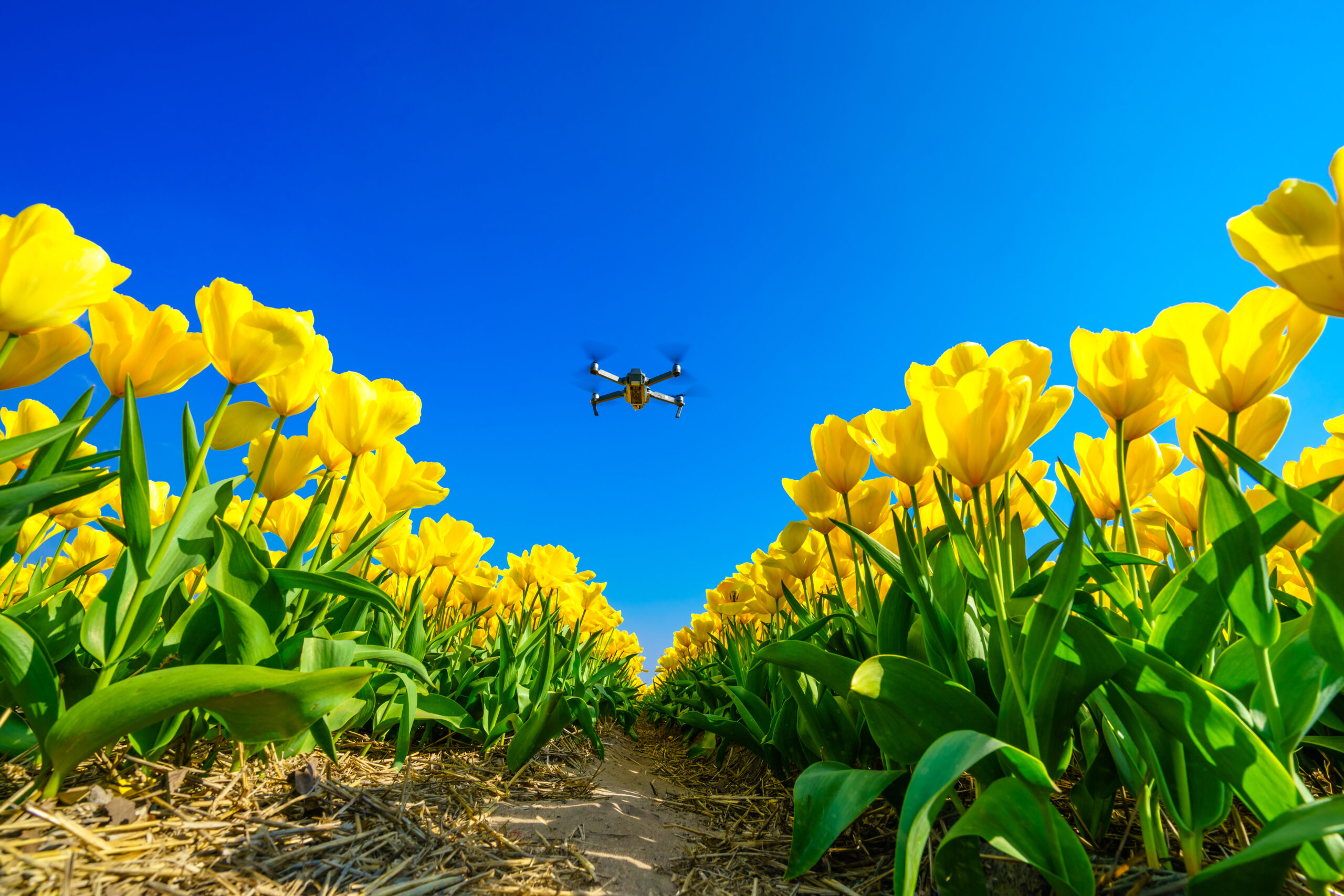 Innovatie & Onderzoek