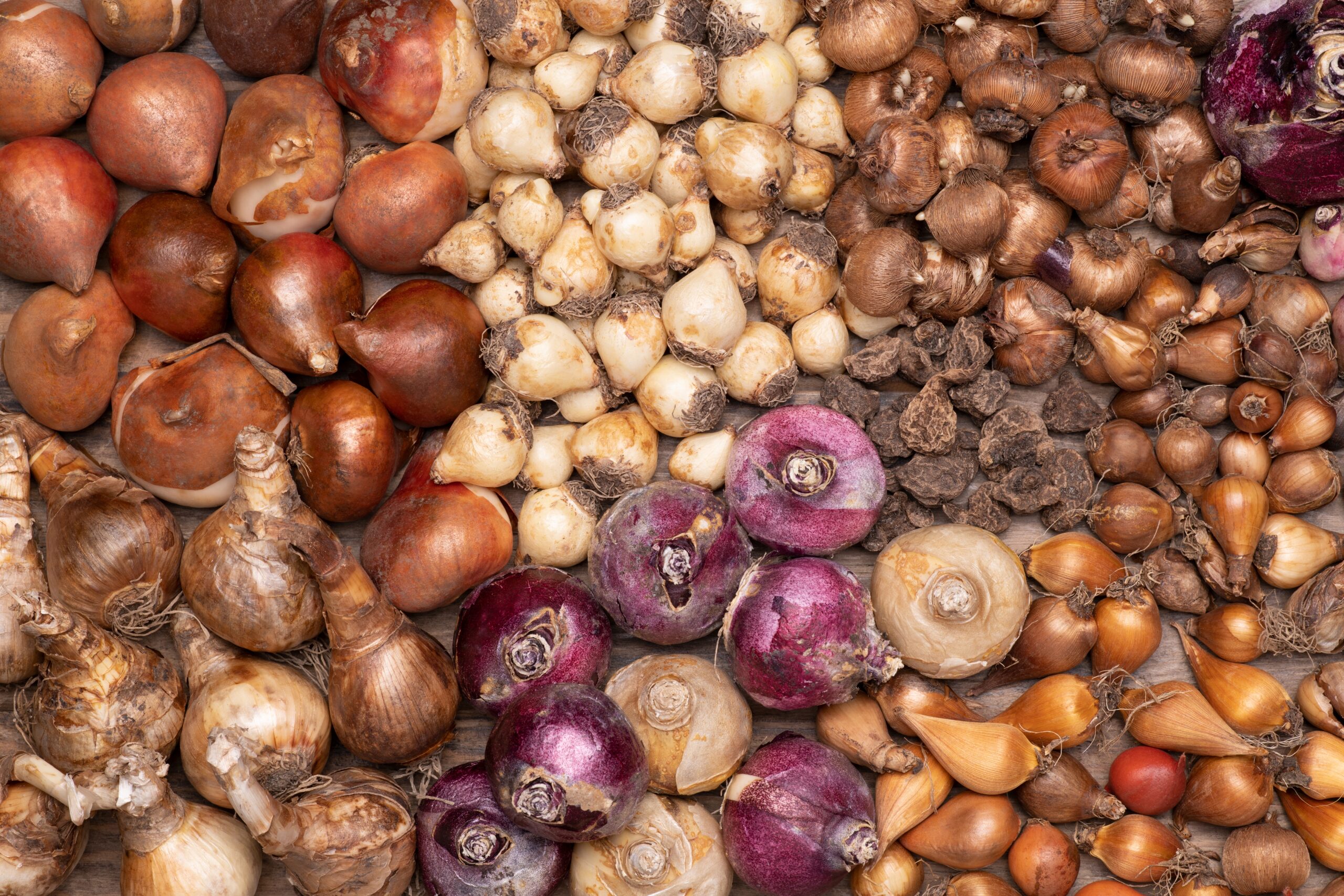 Maatschappelijke Waarde & Imago