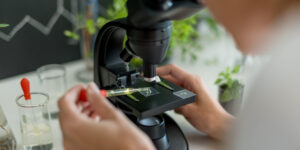 Plantgezondheid & Kwaliteit