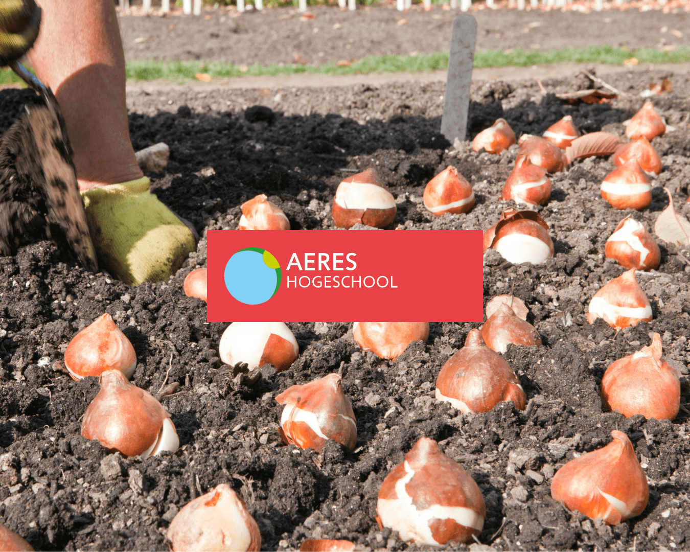 Aeres hogeschool Aeres hogeschool