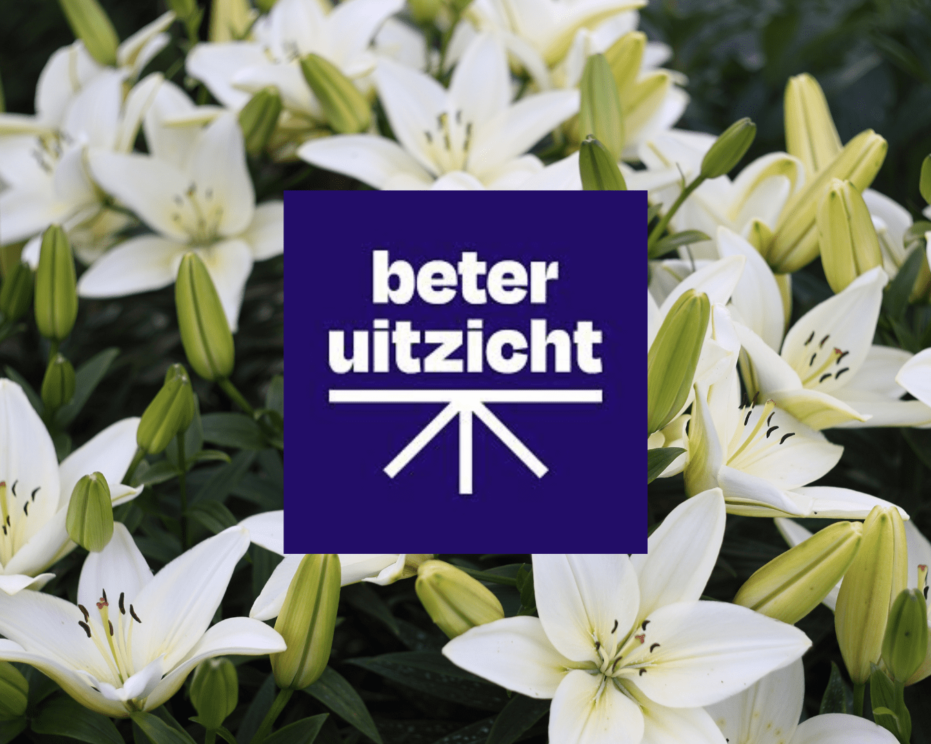 Beter Uitzicht Beter Uitzicht