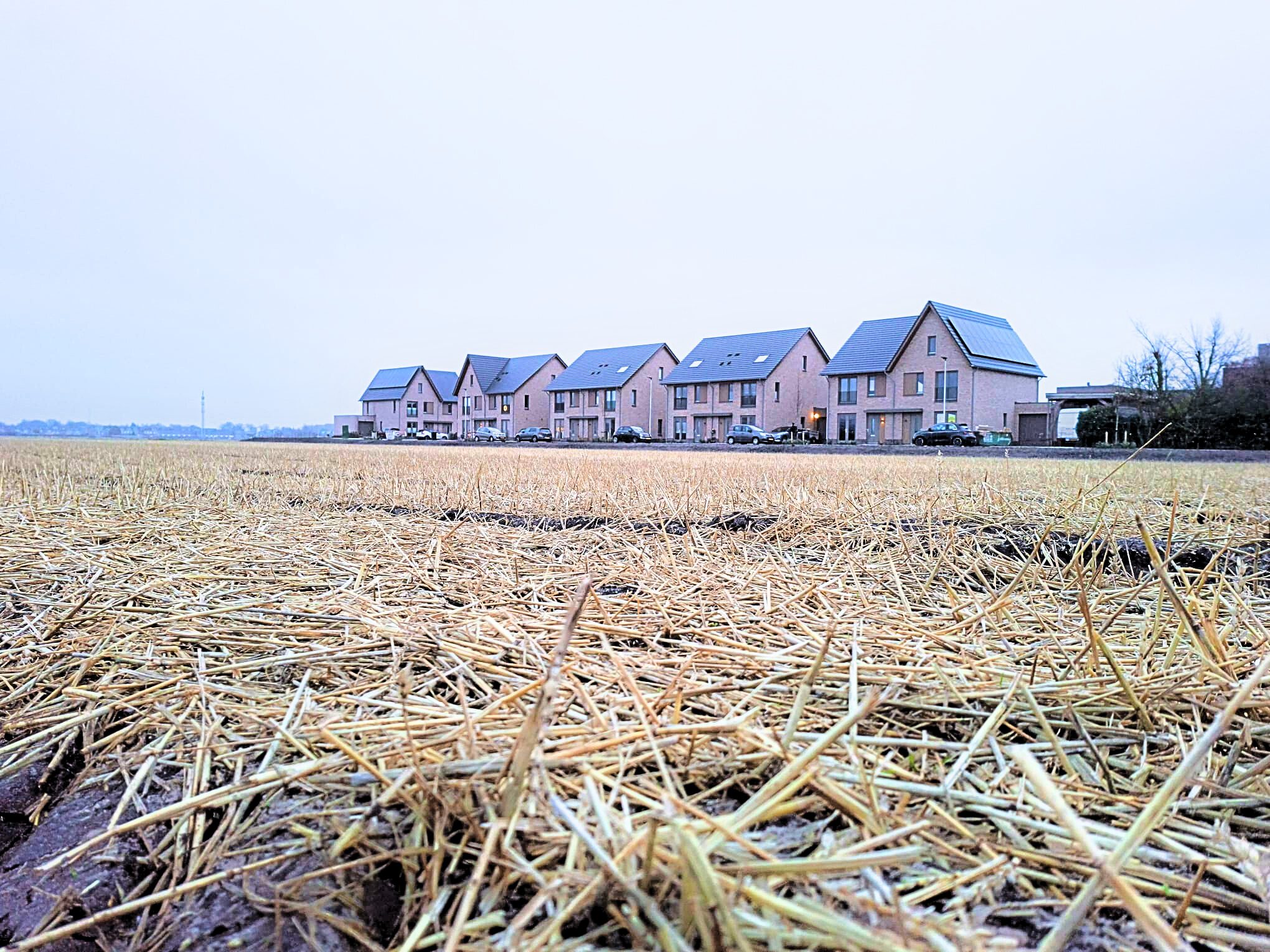 ruimtelijke ordening