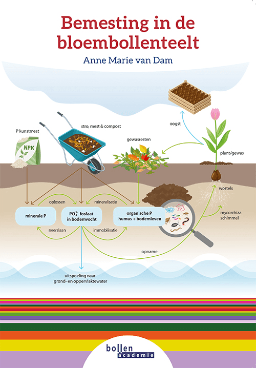 Bemesting in de bloembollenteelt