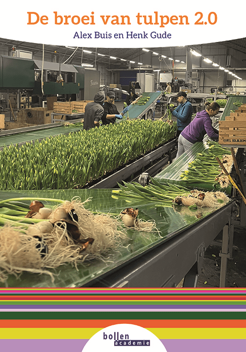 De Broei van Tulpen 2.0