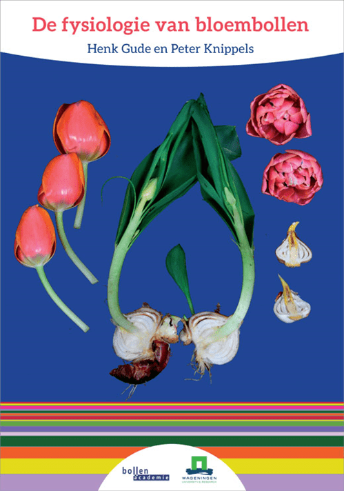 De Fysiologie van Bloembollen