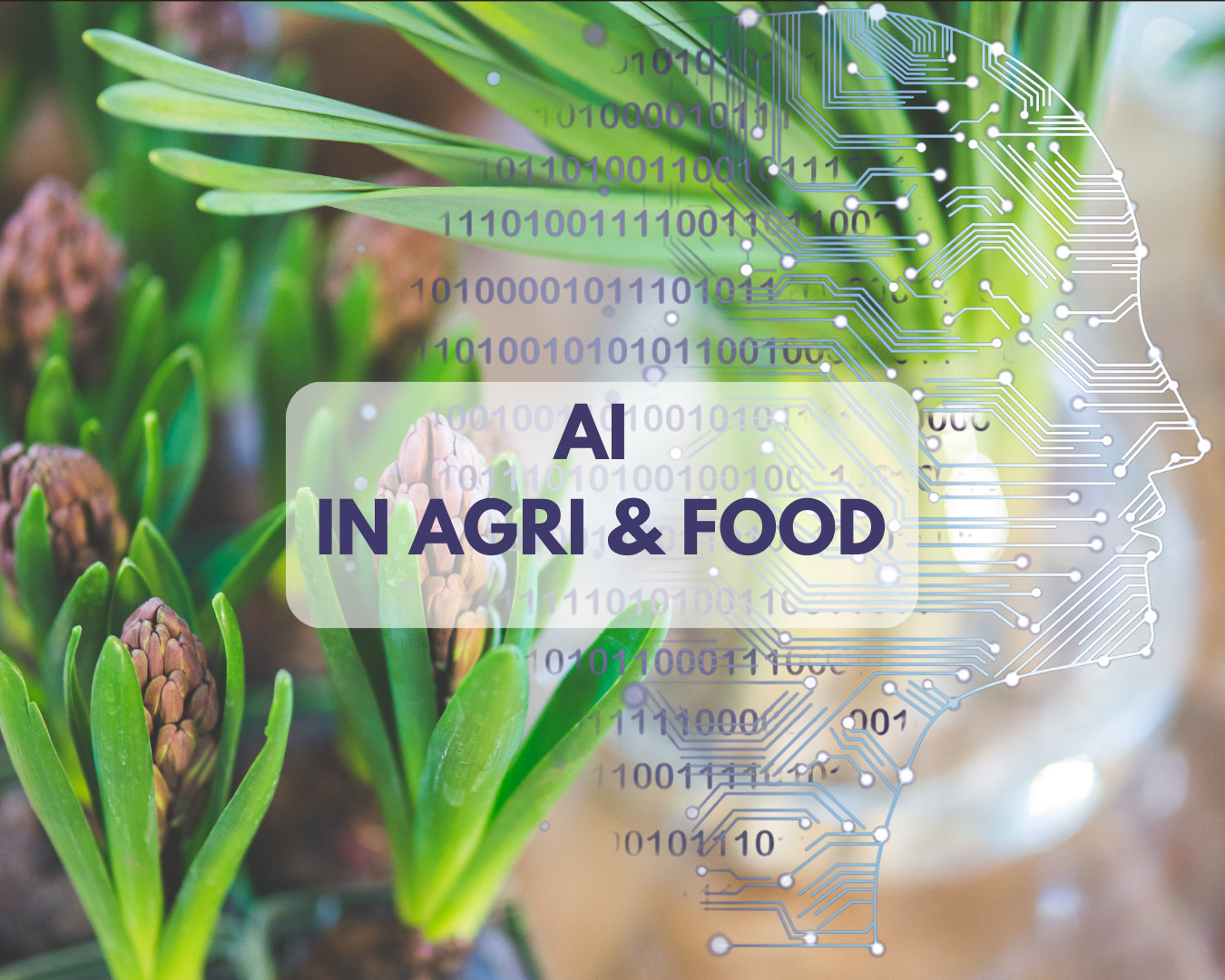 E-learning AI2 E-learning AI2