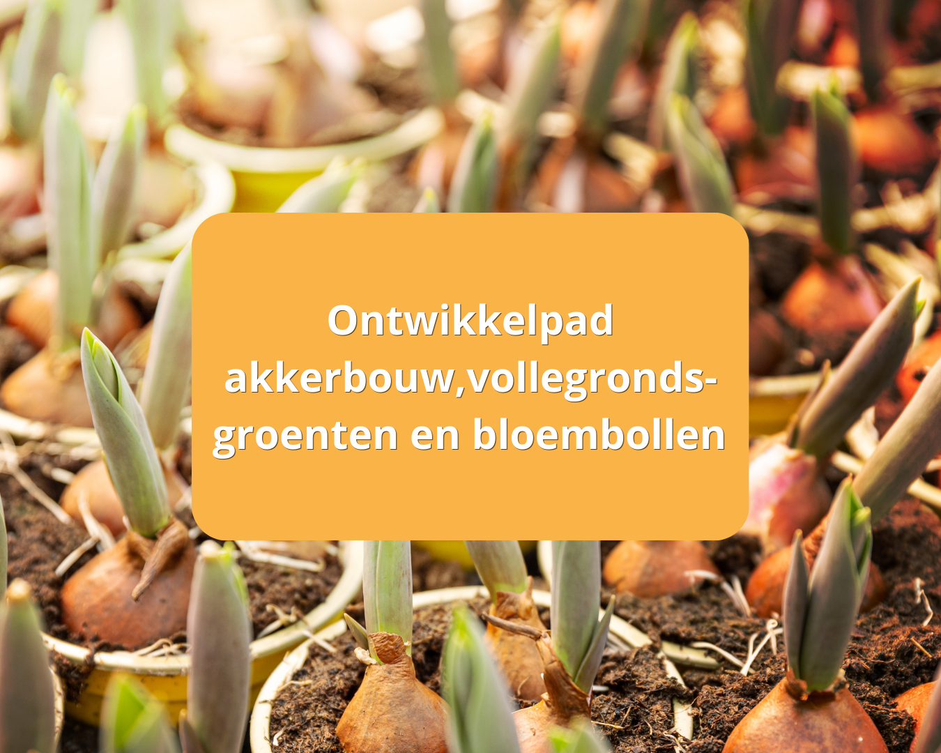 Een subtitel toevoegen