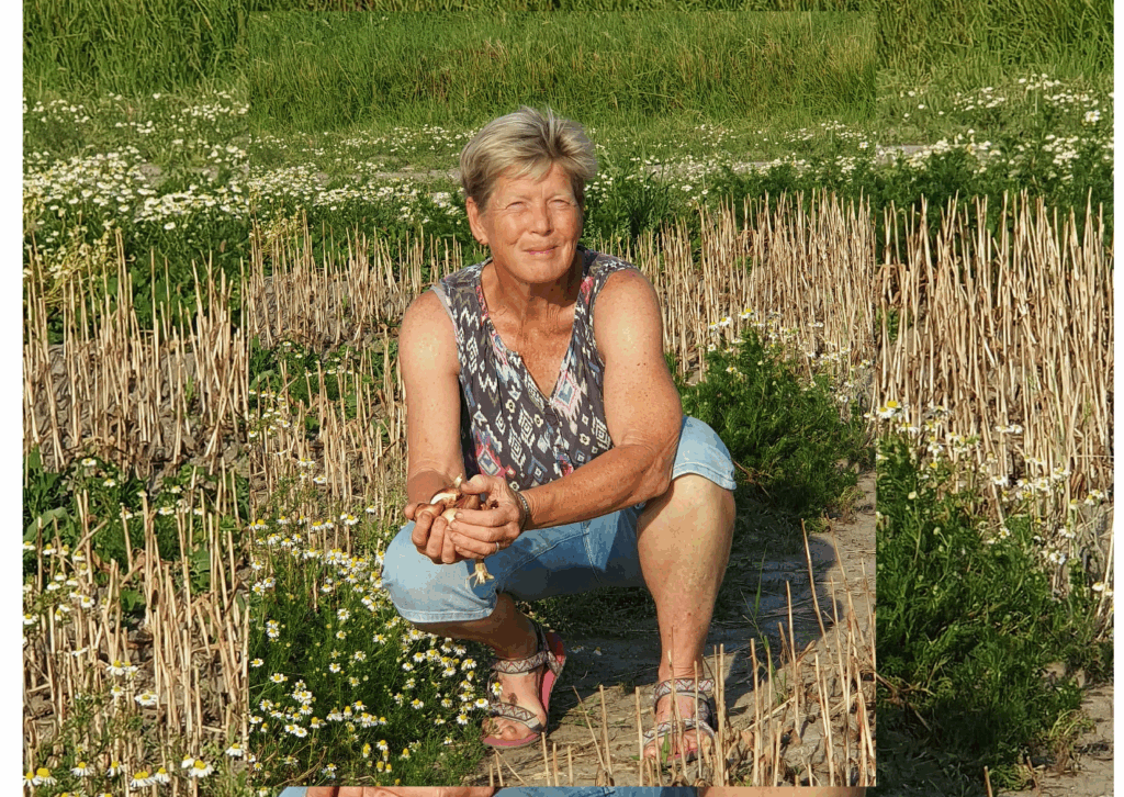 Marga vd Meer column