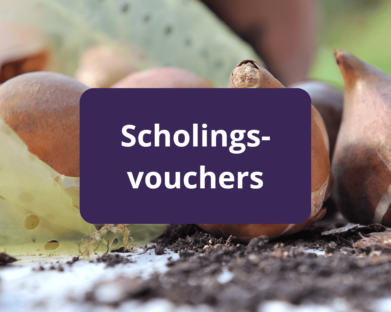 Scholingsvouchers Scholingsvouchers
